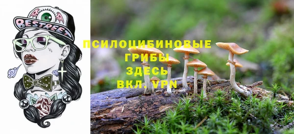 спиды Володарск