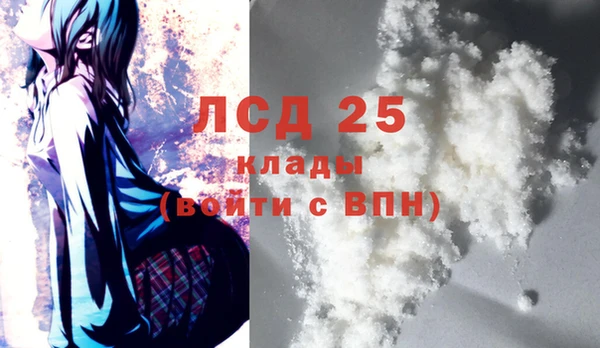 ГАЛЛЮЦИНОГЕННЫЕ ГРИБЫ Нефтекумск