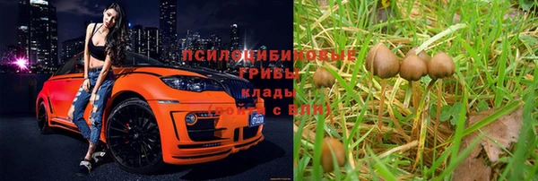 МДПВ Волоколамск