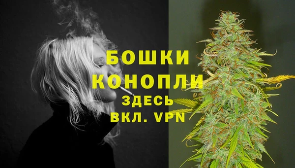 стафф Волосово