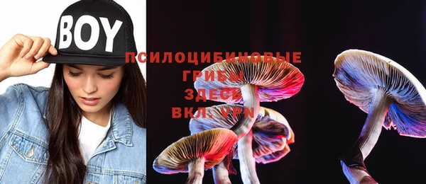 стафф Волосово